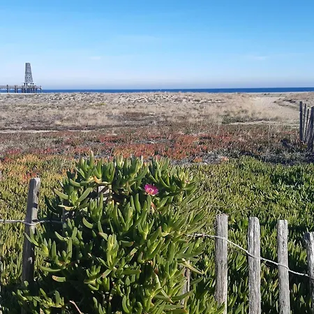 Bel T2 Proche A Leucate, Terrasse, Parking, 4 Pers. - Fr-1-798-15 Leucate